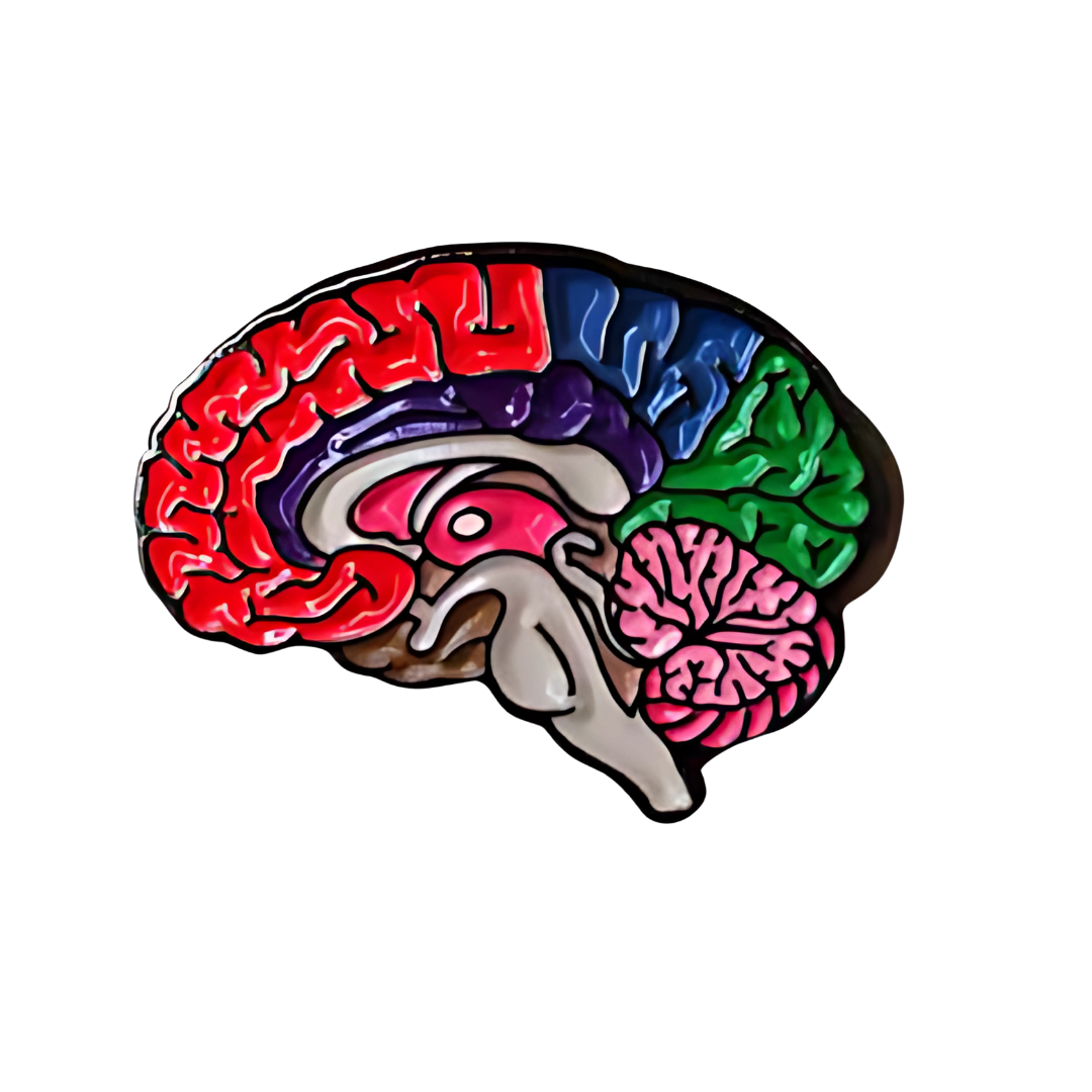Pin Cerebro Colores Metálico