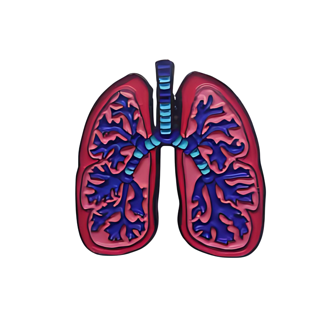 Pin Pulmones Metálico