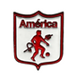 Pin América Metálico